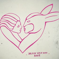 Bran Van 3000 - Rosé